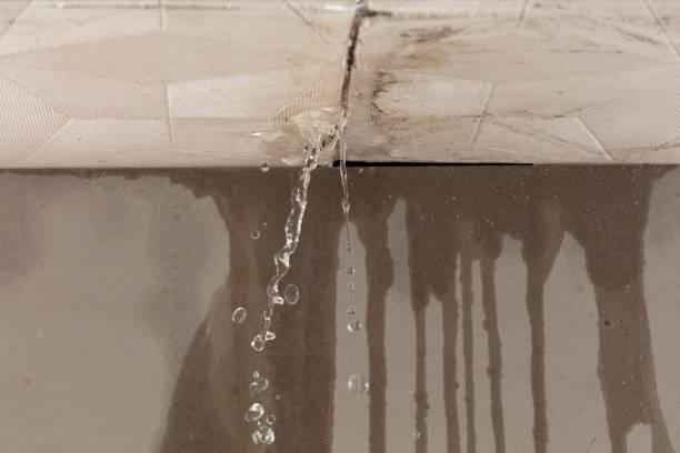 Professional Water Extraction technician working in Springfield, SC